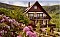 Indkvartering Haus Rheintalblick Sasbachwalden / Brandmatt