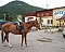 Ranch Motel indkvartering Ruzomberok / Černová: Indkvartering pa hoteller Ruzomberok – Pensionhotel - Hoteller