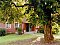 Overnatning Pensionat Liebold Gartz / Friedrichsthal