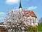 Pension Viereckl bolig Steinhaus bei Wels: Overnatning pa herberger Wels – Pensionhotel - Pensionater