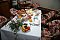 Pension Orchid overnatning Opocno: Overnatning pa herberger Opocno – Pensionhotel - Pensionater